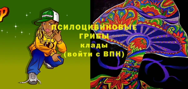 СК Козельск