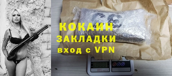 крисы Козловка