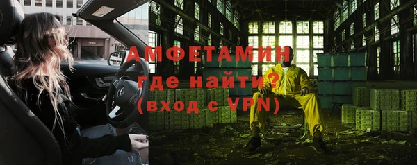 твердый Инсар
